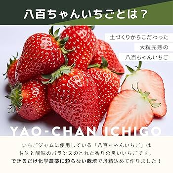 【いちご 生食可】完熟紅ほっぺ 約6kg(ジャム、いちご飴、シロップ等) ジャム用有機いちご1kg （有機JAS認定 熊本産 恋みのり/紅ほっぺ